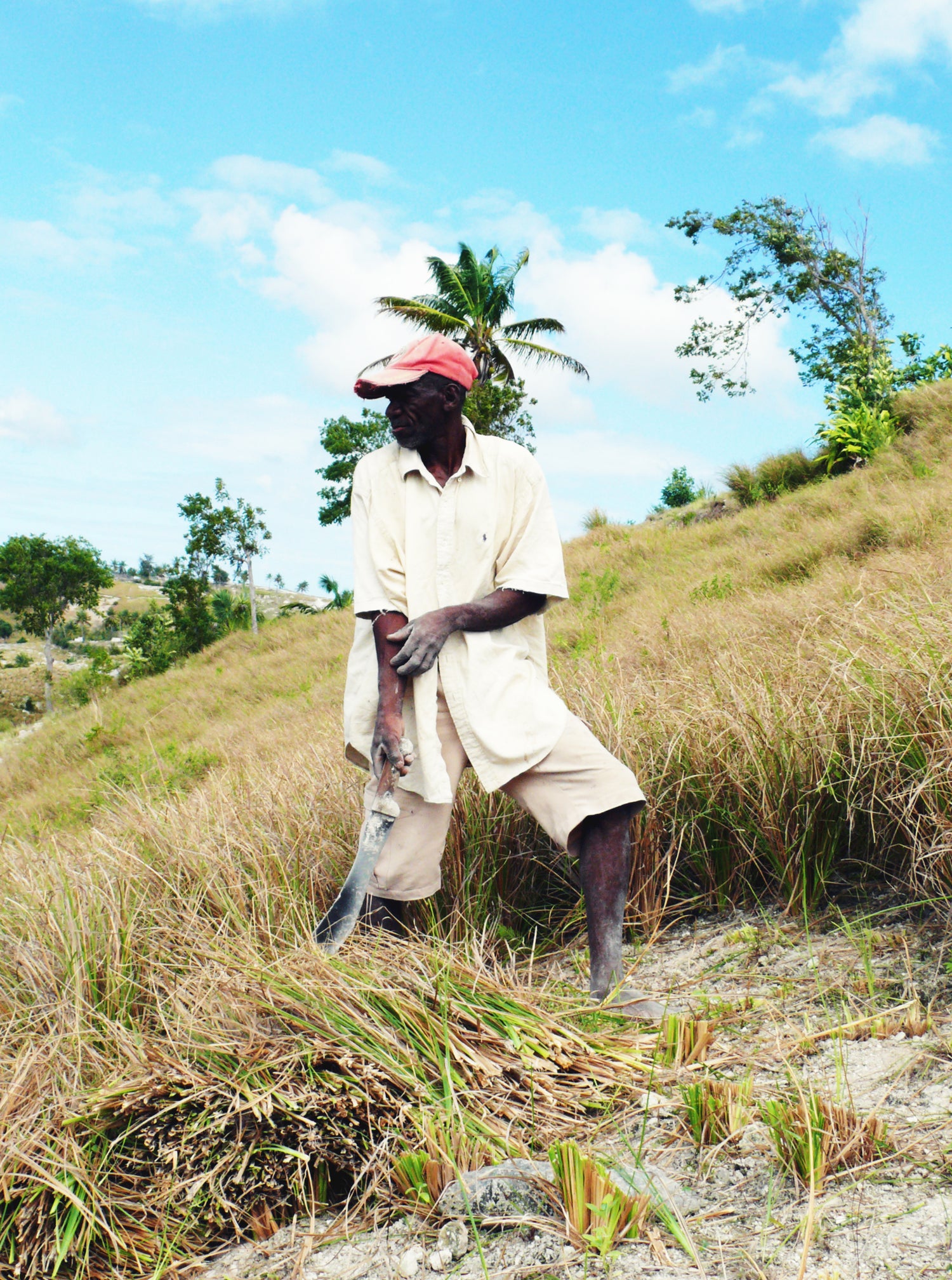 Farmer in field